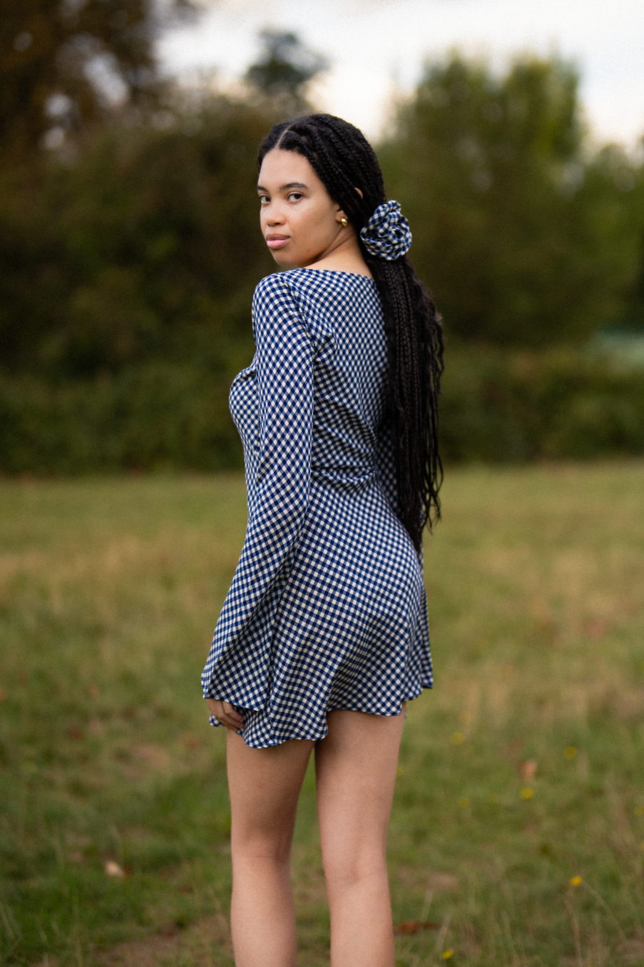 Maisie Bias Long Sleeve Mini Dress In Blue Gingham