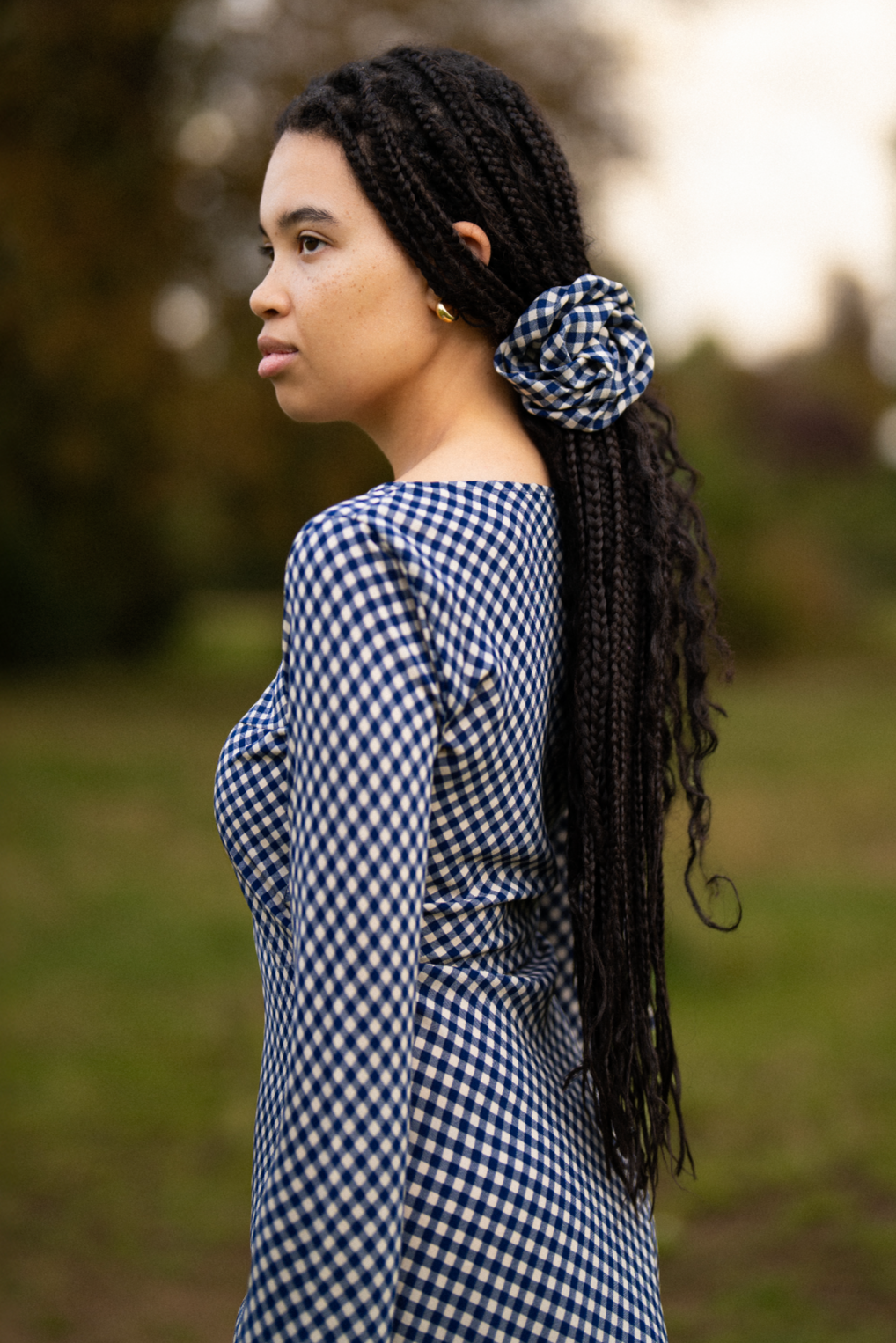 Maisie Bias Long Sleeve Mini Dress In Blue Gingham